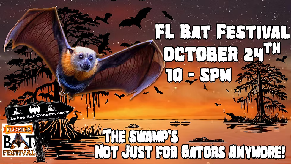 Fl Bat Festival