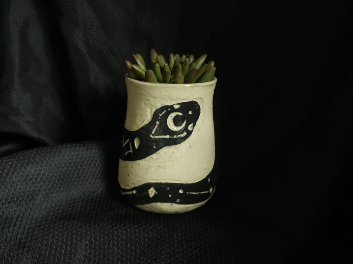 Cosmic Snake Planter