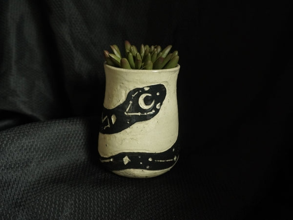 Cosmic Snake Planter