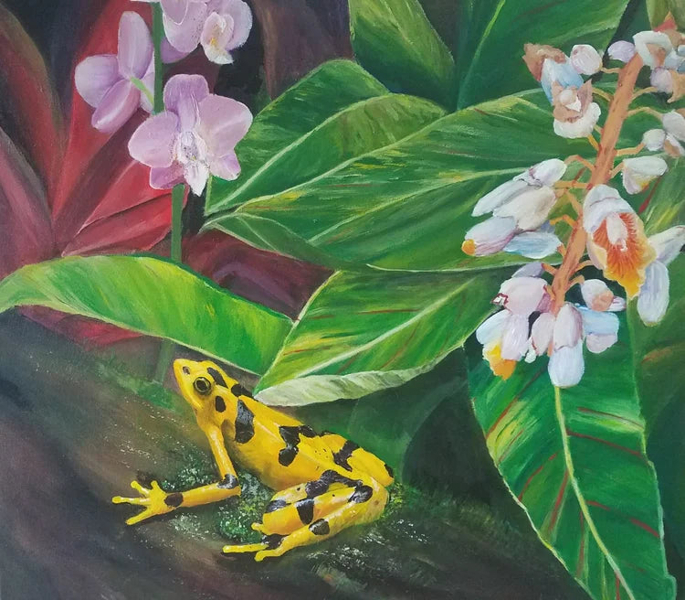 Panama's Golden Frog